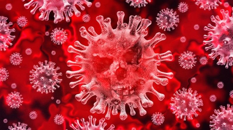  Coronaviruset – En Guds möjlighet