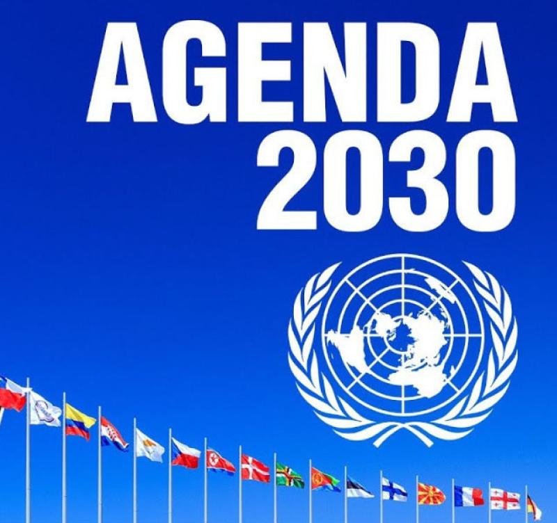 FN:s globala agenda