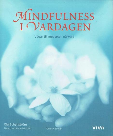 Mindfulness = buddism